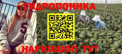 PSILOCYBIN Бугуруслан