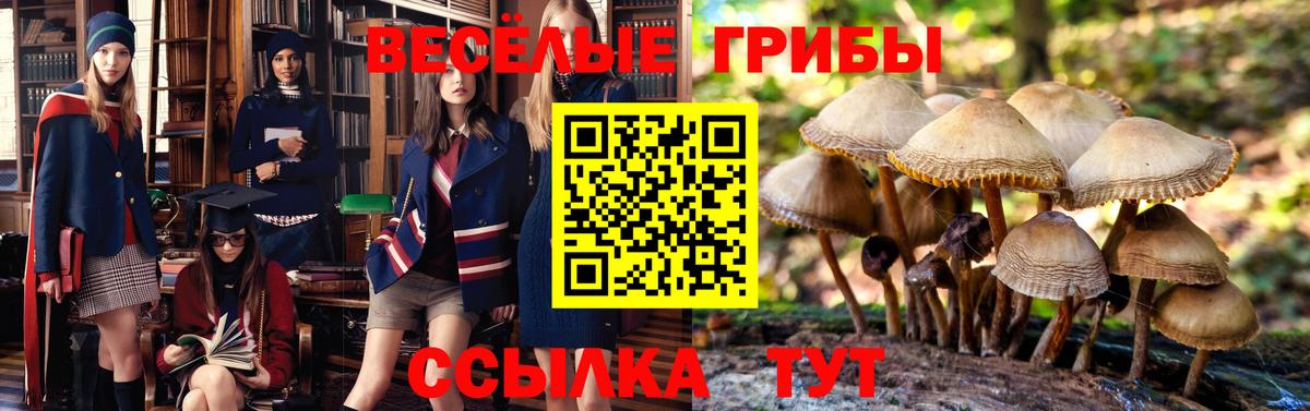 Псилоцибиновые грибы мицелий  Вход с VPN  Лесозаводск 